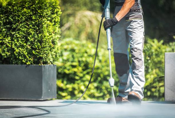 Best Building Exterior Washing  in Jonesville, MI