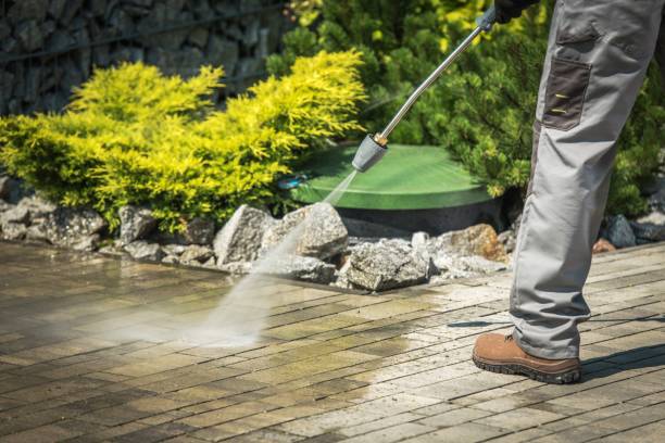 Best Restaurant Pressure Washing  in Jonesville, MI