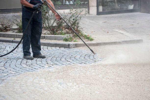 Best Gutter Cleaning  in Jonesville, MI