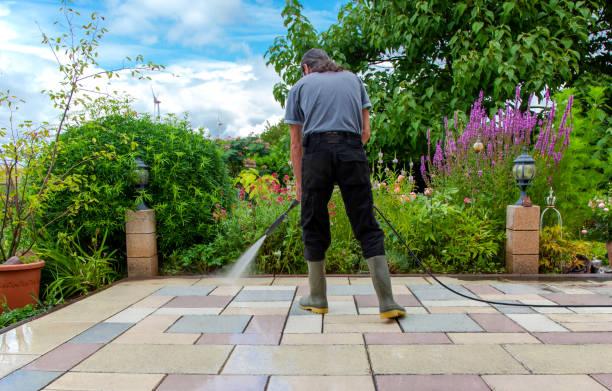 Best Winterizing Services  in Jonesville, MI