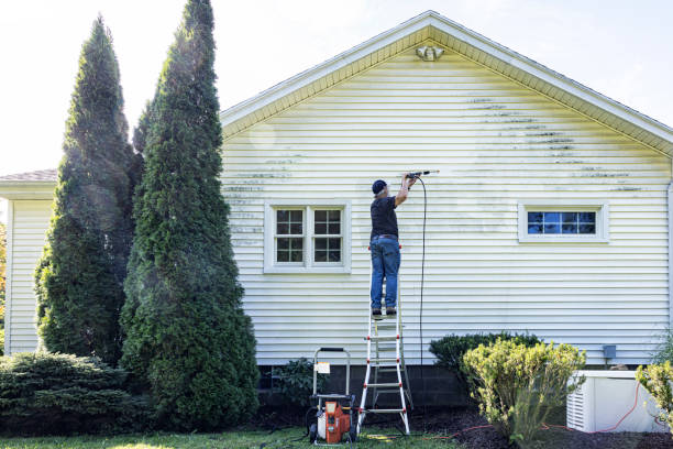 Professional Pressure Washing Services in Jonesville, MI